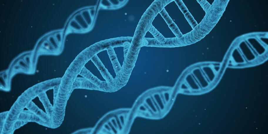 DIGITIZING DNA! COULD THIS BE THE FUTURE OF STORAGE?