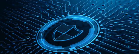 Application Layer Security Assessment